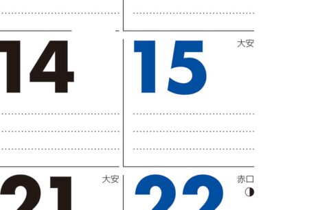 マンスリープラン（6週表示・年間カレンダー付）/拡大