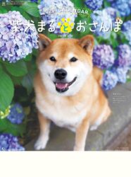 柴犬まるとおさんぽカレンダー表紙