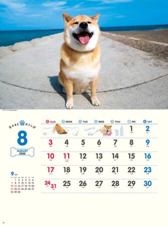柴犬まるとおさんぽカレンダー/8月