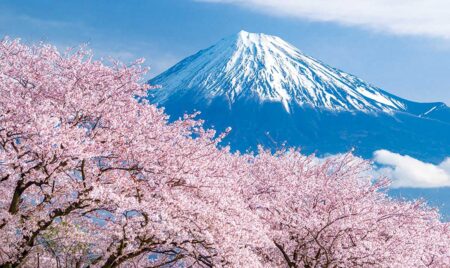 富士-霊峰の四季-（2ヶ月文字）/3月4月